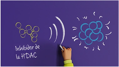 DUVYZAT y la inhibición de las HDAC